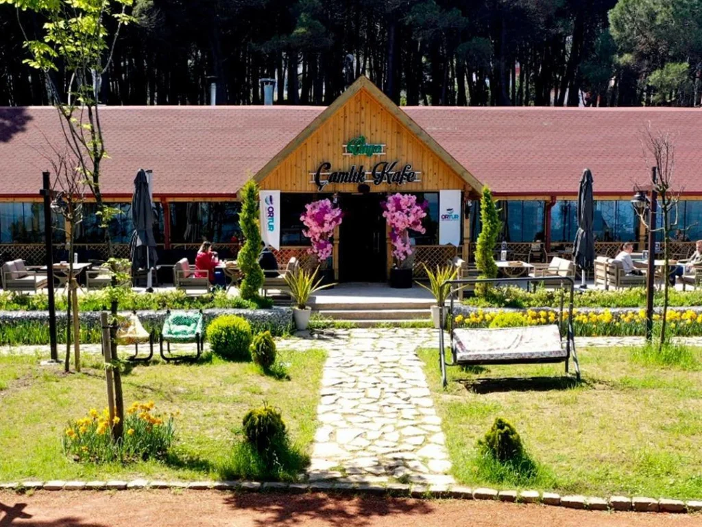 Ünye Çamlık Kafe ve Restoran küçük görseli