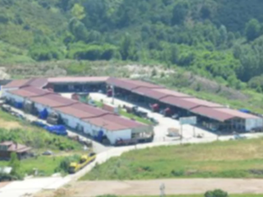 Ünye Toptancı Hali